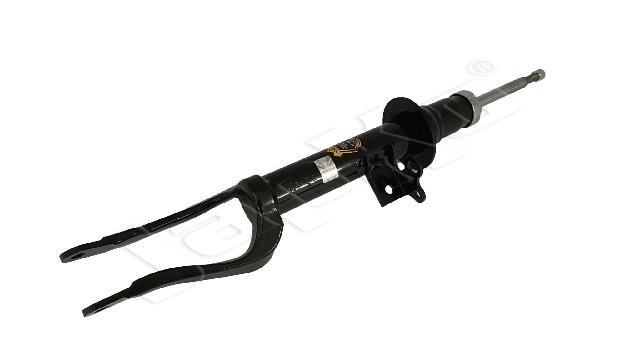 854/MM-01374_1.jpg