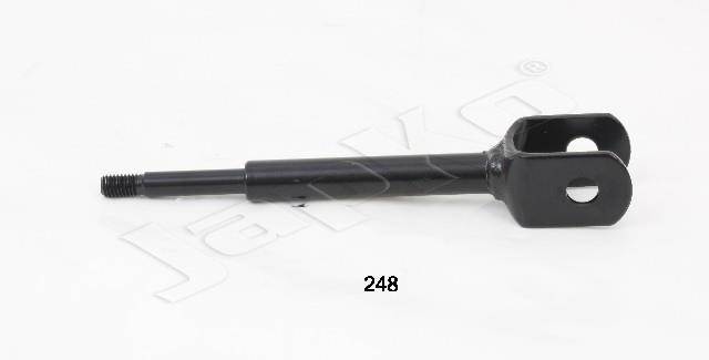 3229/SI-248_1.jpg