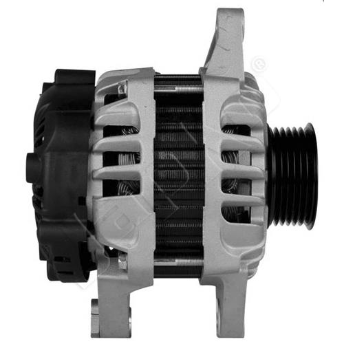 4/ALM959_2.jpg