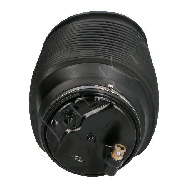 4119/MM-AS055_3.jpg