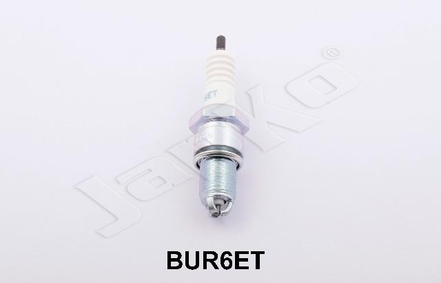100055/BUR6ET~VL01_1.jpg