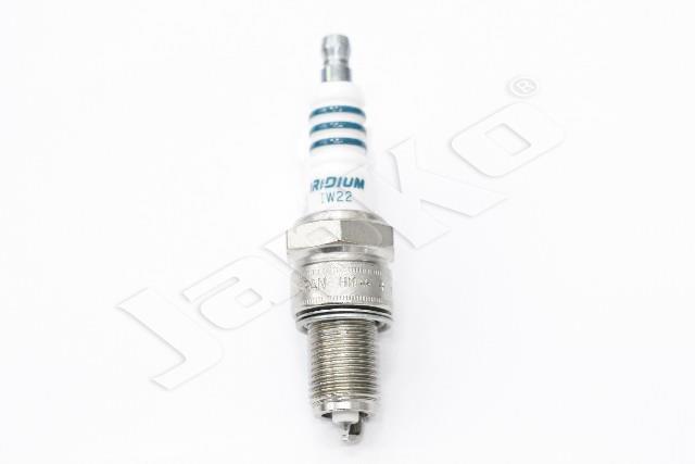 100058/IW22_3.jpg